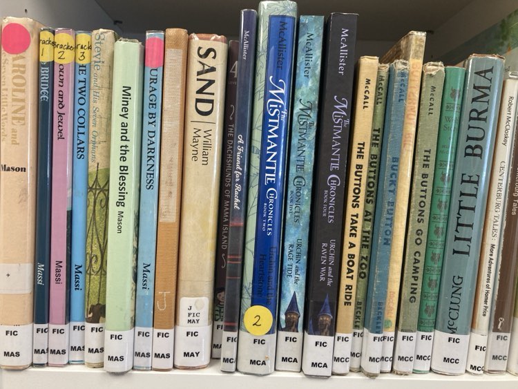 Floor-to-ceiling shelves of children's books at Hall's Living Library