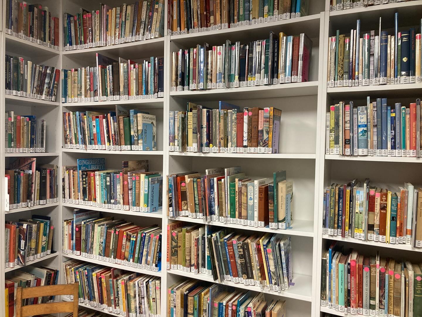 Catalogued vintage children's books with library labels at Hall's Living Library